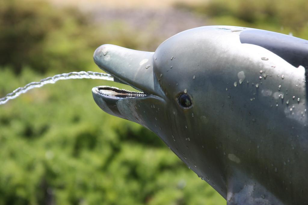 Emerald Dolphin Inn & Mini Golf Fort Bragg Ngoại thất bức ảnh